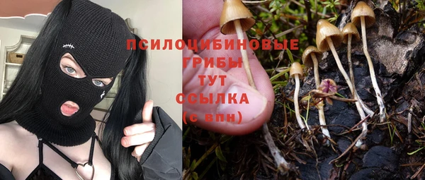 apvp Арсеньев