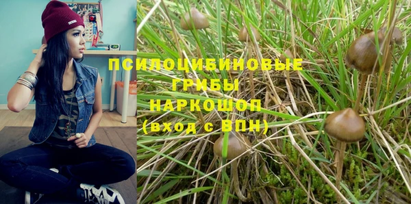 ешки Армянск